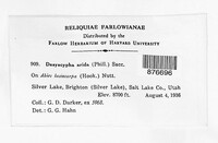 Image Associated With the Occurence